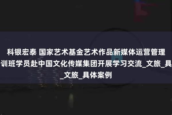 科银宏泰 国家艺术基金艺术作品新媒体运营管理人才培训班学员赴中国文化传媒集团开展学习交流_文旅_具体案例