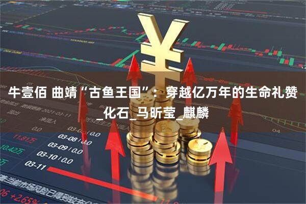 牛壹佰 曲靖“古鱼王国”：穿越亿万年的生命礼赞_化石_马昕莹_麒麟