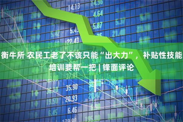 衡牛所 农民工老了不该只能“出大力”，补贴性技能培训要帮一把 | 锋面评论